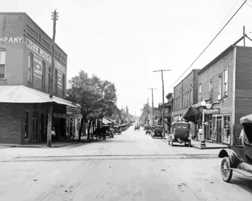 Small Towns Black And White paint by number