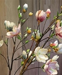 Spring Magnolias paint by numbers