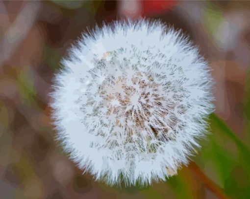 Taraxacum Erythrospermum paint by number