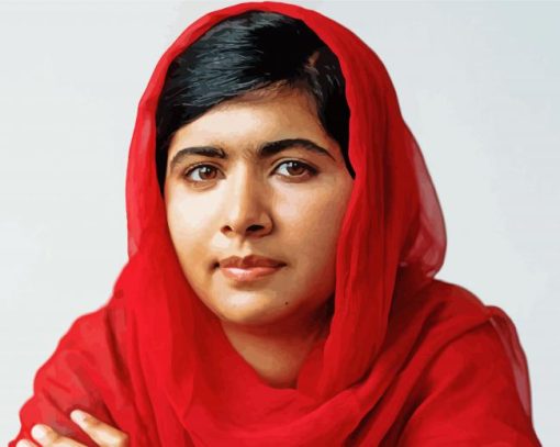 The Activist Malala Yousafzai paint by numbers