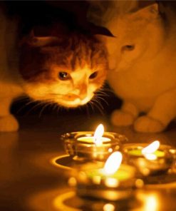 The Beautiful Cats And A Candle paint by number