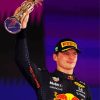 The Race Car Driver Max Verstappen paint by number