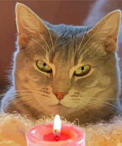 The Cat Smelling Candle paint by number