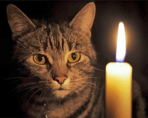 The Cat And A Candle paint by number