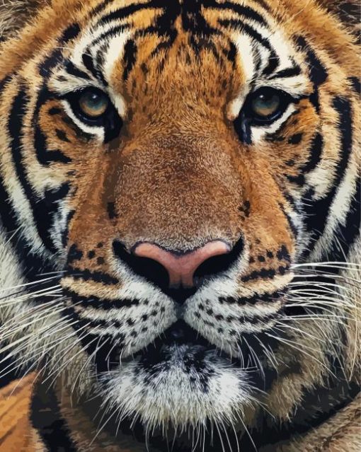 Tiger Animal Close Up paint by numbers