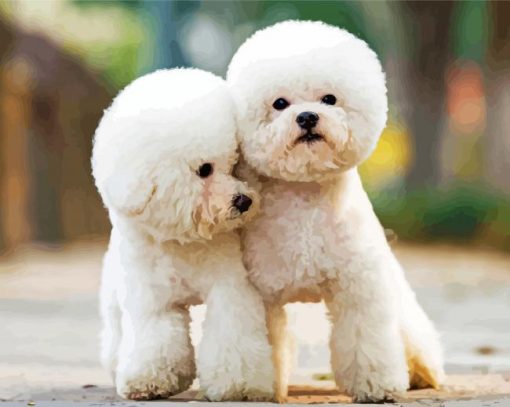 Toy Poodle Dog paint by number