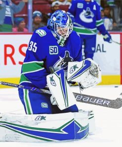 Vancouver Canucks Hockey Player paint by number