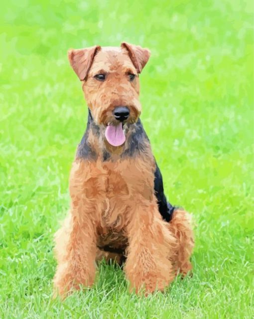 Welsh Terrier Dog Animal paint by number