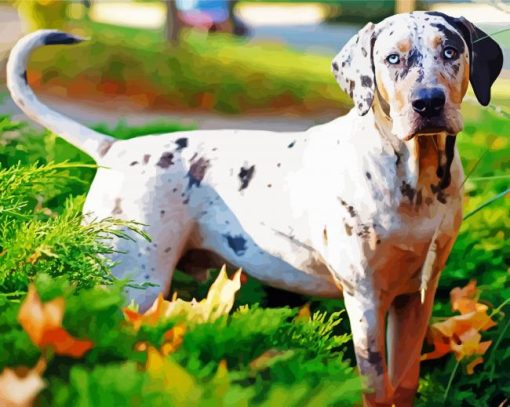 White Catahoula Leopard Dog paint by number