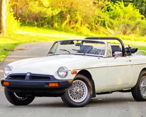 White MG Mgb Car paint by number