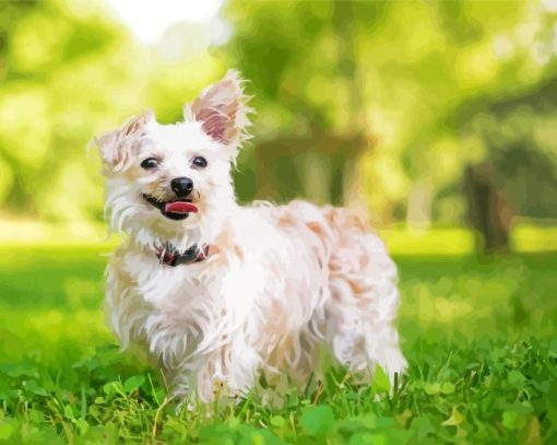 White Yorkiepoo paint by number