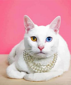 White Pearl Pet Collar Cat paint by number