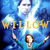 Willow Poster paint by number