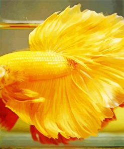 Yellow Betta Fish paint by number