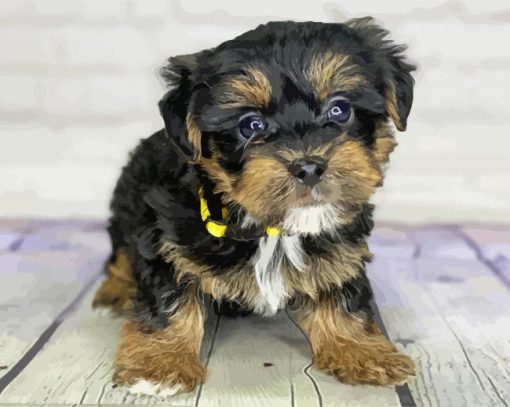 Yorkiepoo paint by number