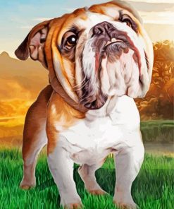 Australian Bulldog Art paint by number