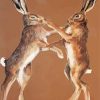 Brown Hares Boxing Illustration paint by number