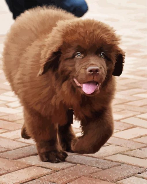 Brown Newfie Puppy Dog paint by number