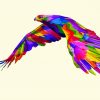 Colorful Flying Eagle paint by number