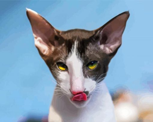 Cornish Rex Cat Head paint by number