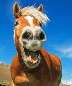 Cute Horse Laughing paint by number