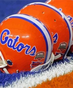 Florida Gators Helmet paint by number