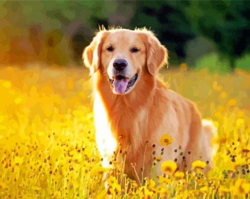 Golden Retriever In Field Of Flowers paint by number