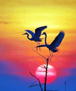 Heron Birds Silhouette paint by number