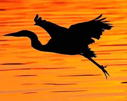 Heron In Flight Sunset Silhouette paint by number