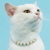 Luxurious Pearl Pet Cat paint by number