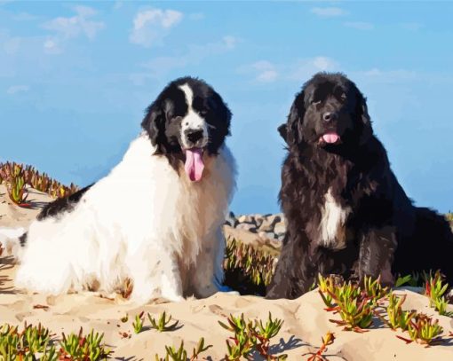 Newfoundland Dogs Puppies paint by number