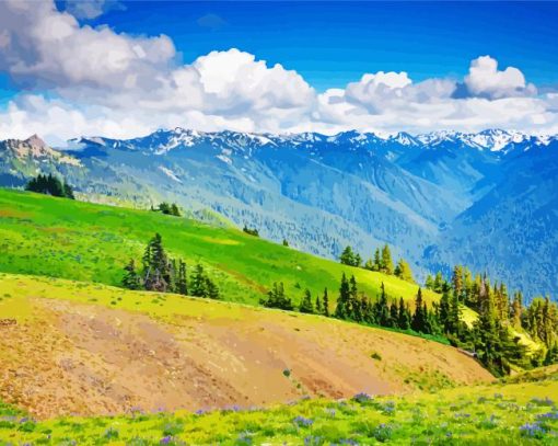 Olympic Hurricane Ridge paint by number