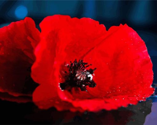 Red Poppy paint by numbers