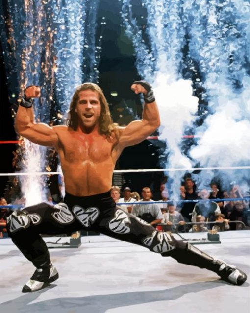 Shawn Michaels Wrestler paint by number