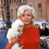 Vintage Jayne Mansfield paint by number