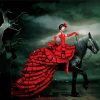 Woman In Red On A Black Horse Art paint by number