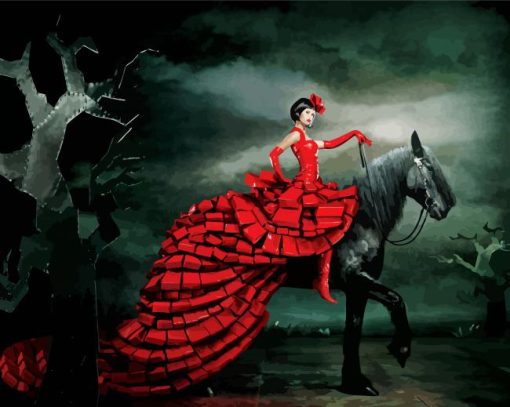 Woman In Red On A Black Horse Art paint by number