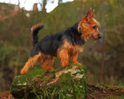 Aesthetic Australian Terrier paint by number