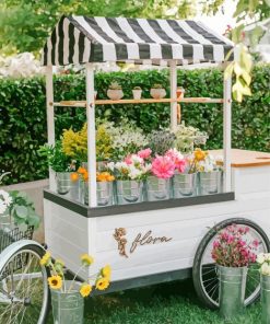 Aesthetic Flower Cart paint by number