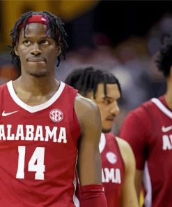 Alabama Crimson Tide Mens Basketball Players paint by number