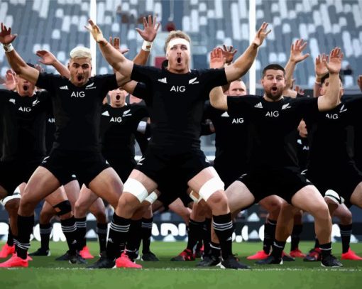 All Blacks Rugby Team paint by number