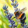 Bee And Flower Art paint by number