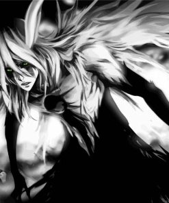 Bleach Character Ulquiorra Cifer paint by number