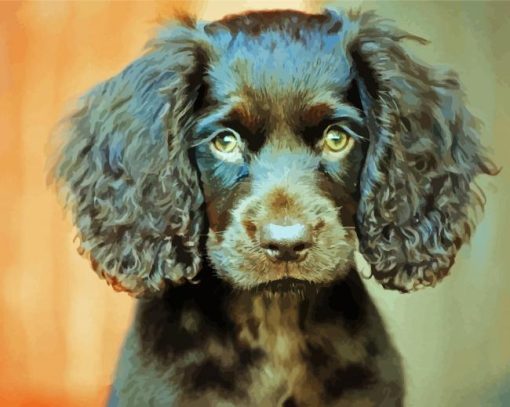 Boykin Spaniel Puppy Animal paint by number