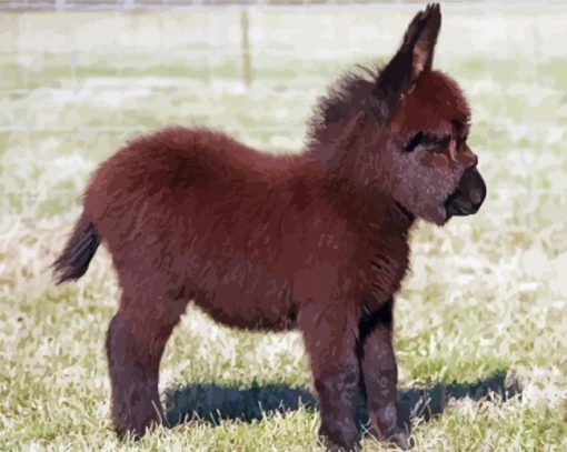 Brown Mini Donkey paint by number