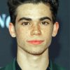 Cameron Boyce American Actor paint by number