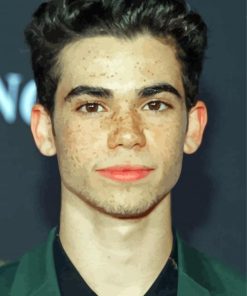 Cameron Boyce American Actor paint by number