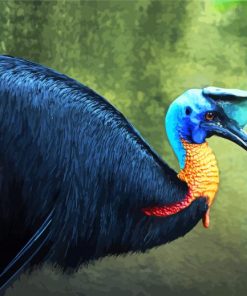 Cassowary Bird paint by number