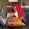 Cats Playing Poker paint by number