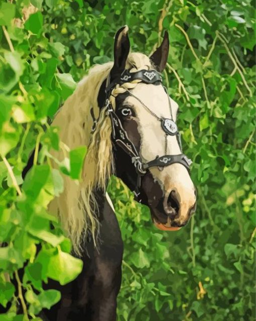 Cob Horse paint by number